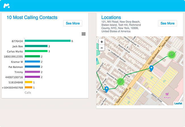 mspy Simple Online Dashboard